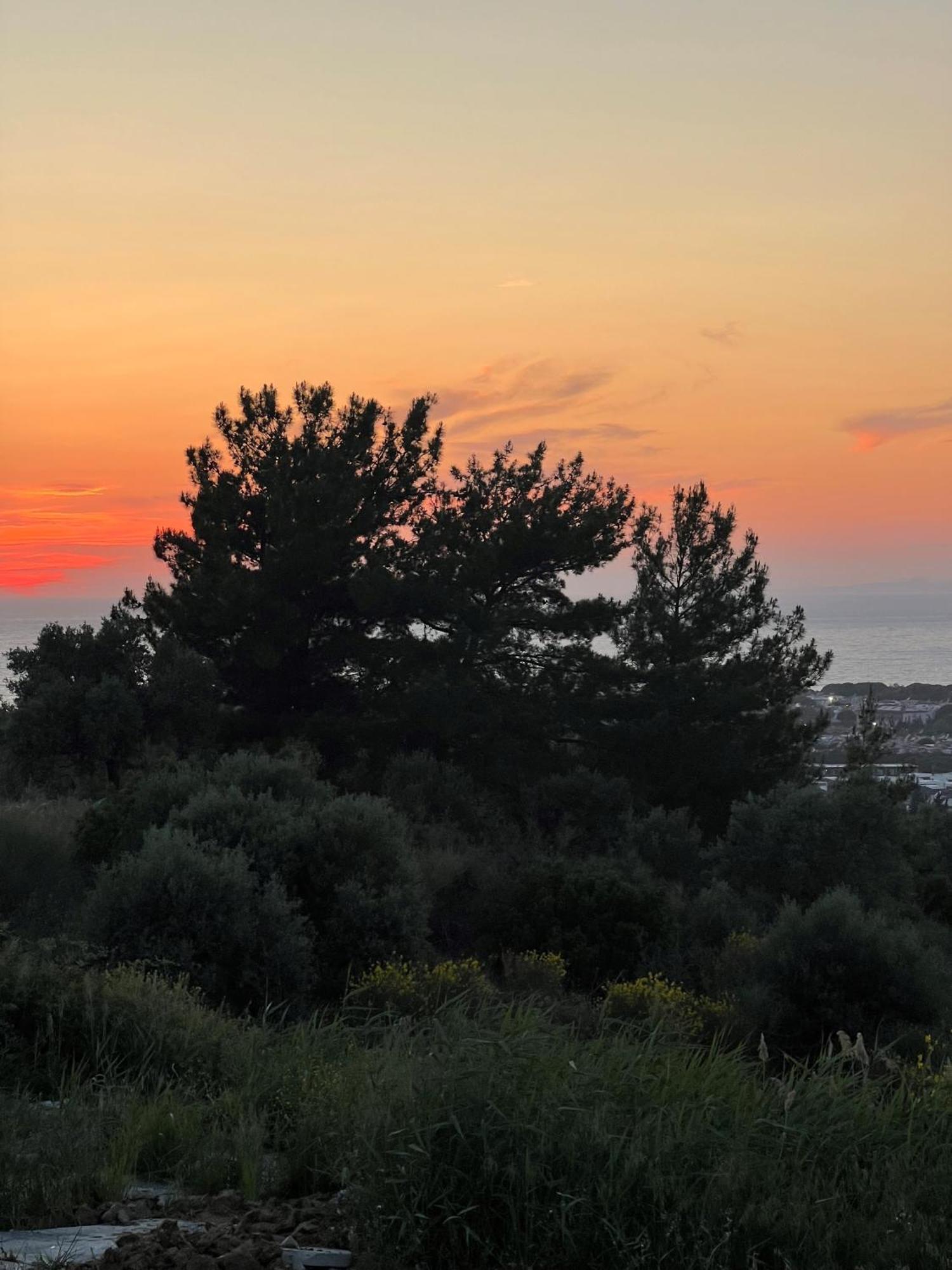 Spacegardenvillas * Kuşadası