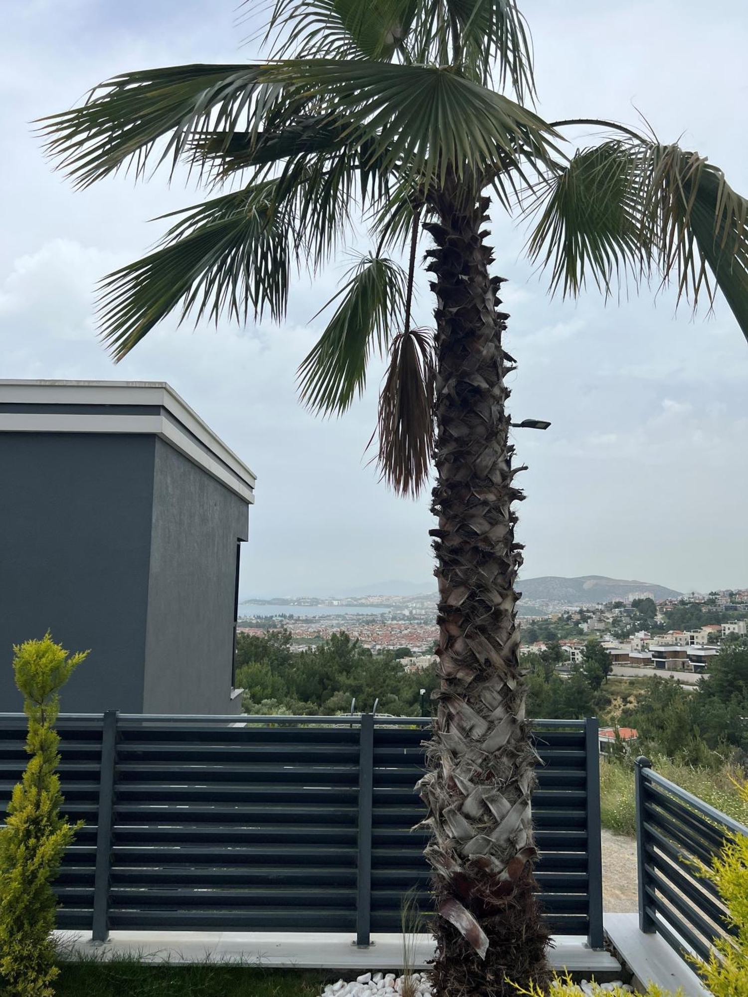 Spacegardenvillas Kusadası
