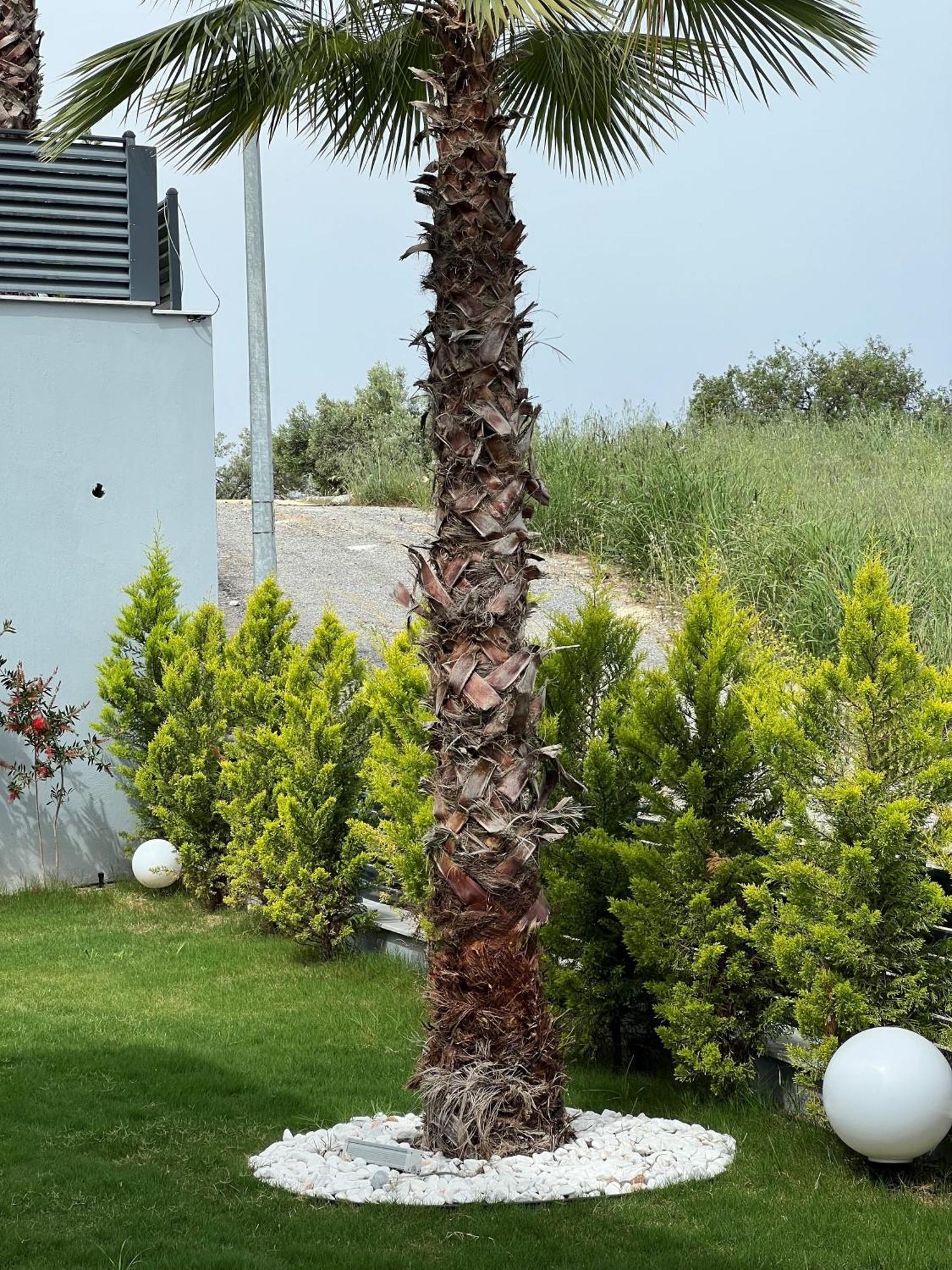 Spacegardenvillas *
